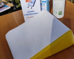 2 (7)