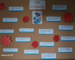Multimedia (6)