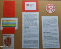 Multimedia (2)