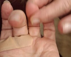 Messenger_creation_E41A8792-0247-42AF-B73D-8D25B9FCB1AC